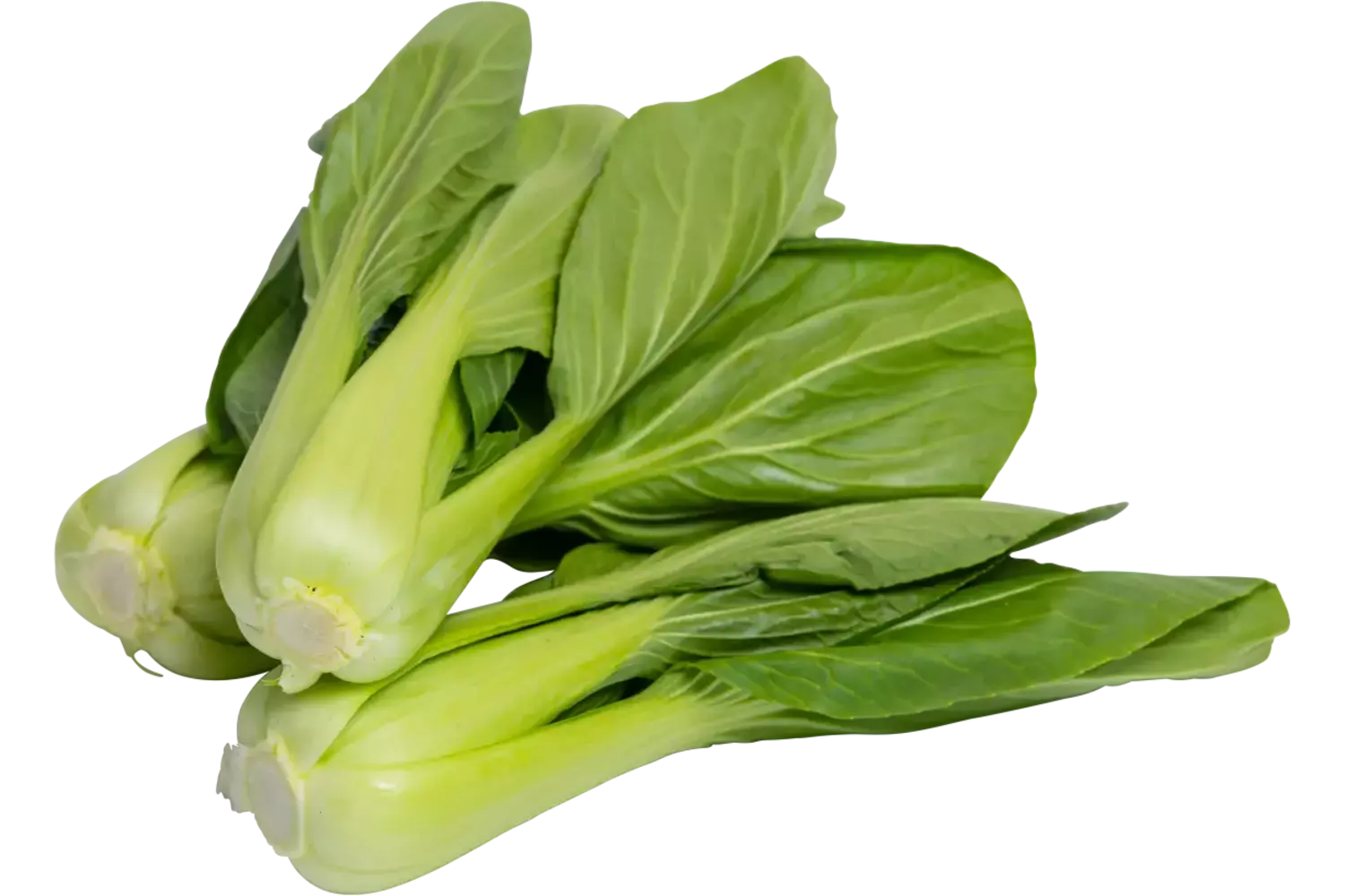 Mini Shanghai Paksoi verpakt 250gr stuk 1